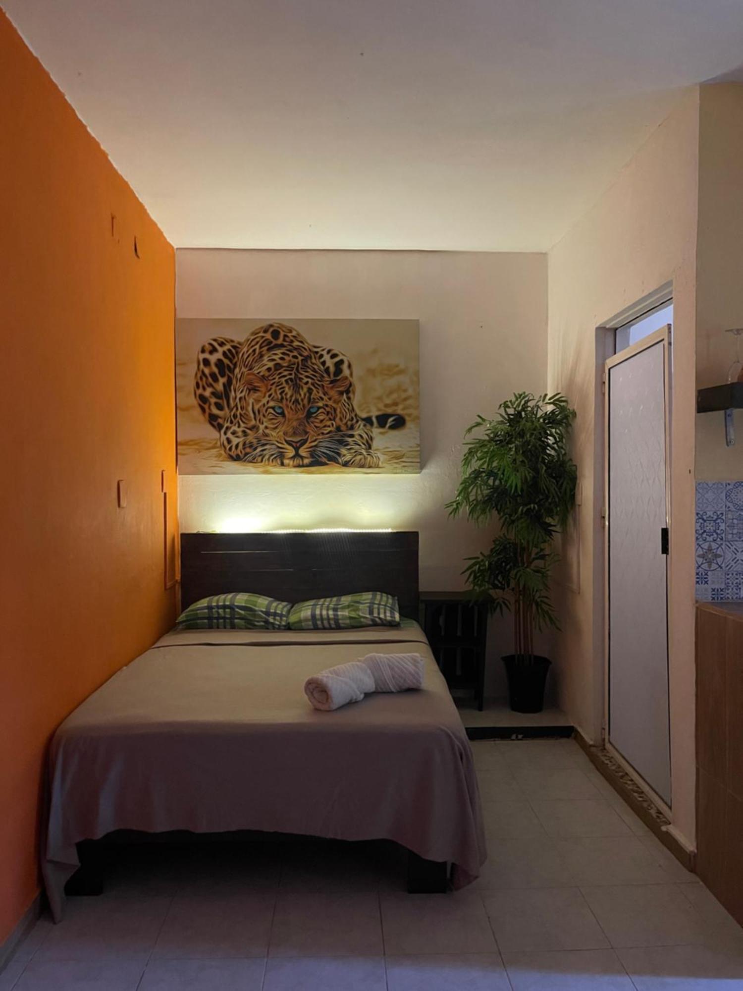 Casa Mar Lägenhet Playa del Carmen Exteriör bild